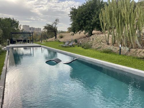 un delfín nadando en una piscina de agua en La dimora delle Naiadi di Noto, en Noto