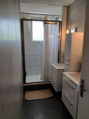 La petite salle de bains est pourvue d'une douche et d'un réfrigérateur. dans l'établissement Chez Fred and Nico, à Colomiers