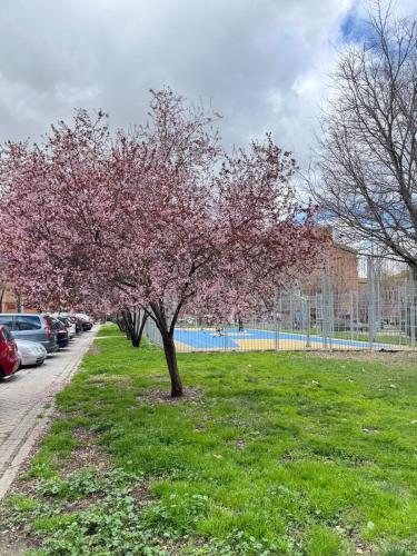 Apartamento cuatro habitaciones a 15 minutos del centro de Madrid