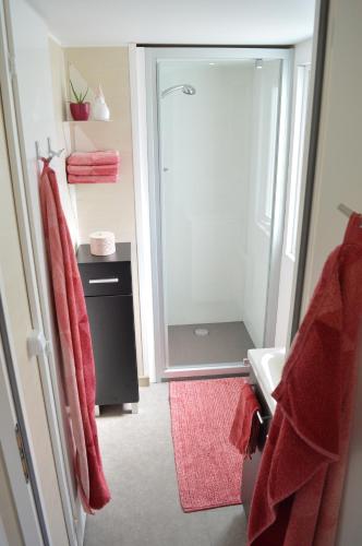 a bathroom with a shower and a sink with red towels at MainMoment in Kulmbach