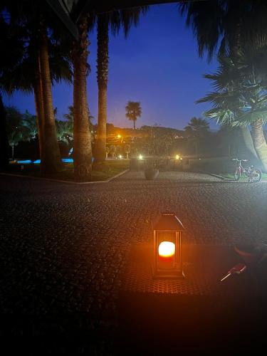 a lantern on a sidewalk with palm trees at night at Quinta Das Palmeiras in Valpedre