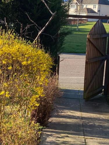 a wooden gate on a sidewalk next to some bushes at Caledonia House in Rosyth