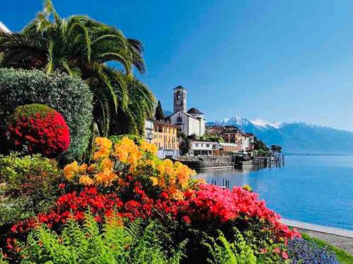 a bunch of flowers in front of a body of water at Sunny modern Apartment Lake View Relax in Brissago