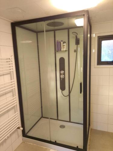 a shower in a bathroom with a glass door at Voorthuizen chalet nabij de bossen in Batoʼs Erf