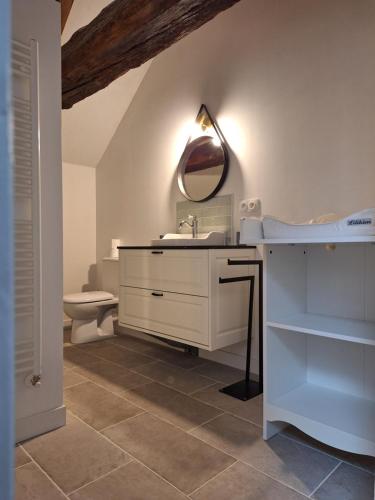 a bathroom with a sink and a mirror and a toilet at Domaine de Bobehec - Gîte de groupe, chambres & Salle - jusqu'à 23 couchages - Morbihan proche Vannes et plages in La Vraie-Croix