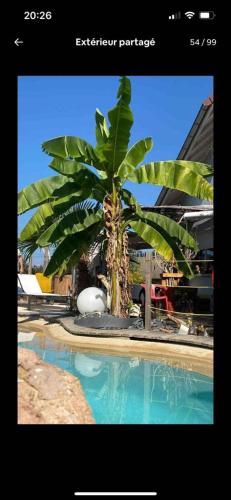 établissement professionnel de Chambres d'hôtes à La Marc'Quize avec piscine partagée et bain nordique privatif en prestation supplémentの敷地内または近くにあるプール