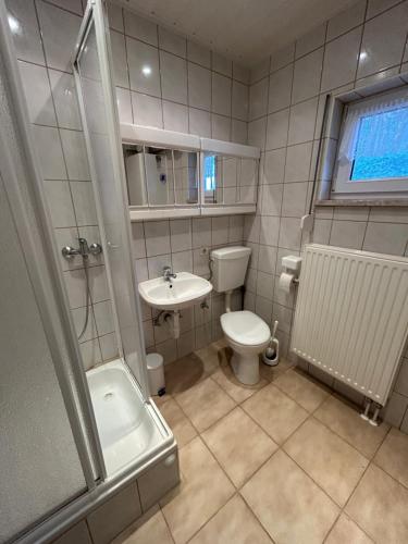 a bathroom with a toilet and a sink and a shower at Ferienhaus Stefanie in Plodda