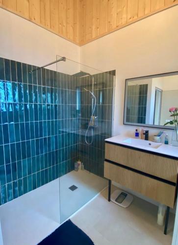 une salle de bain avec une douche, un lavabo et un miroir dans l'établissement Chalet landais, à Léon