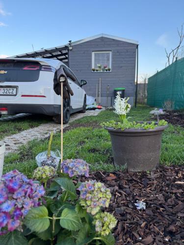 Zahrada ubytování Tiny House v Balijském stylu v srdci Slovácka