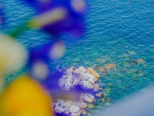 z powietrza widok na ocean z kamieniami w wodzie w obiekcie La Lampara Sea View Terrace Apartment w mieście Manarola