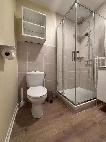 une salle de bain avec toilettes et douche en verre dans l'établissement Le D'Artagnan - App 12bis - Balcon, à Cazaubon
