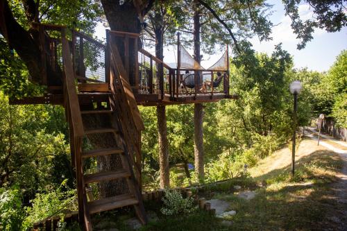 a tree house with a ladder in a tree at B&B Colle di Terria Country House in Contigliano