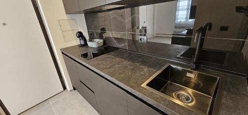 a kitchen with a sink and a stainless steel counter top at Golden Moon in Lido di Ostia