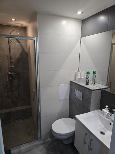Ένα μπάνιο στο Apartament 3-pokojowy Klimatyzacja nr 3