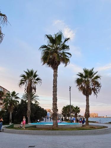 Lambada flat am Meer