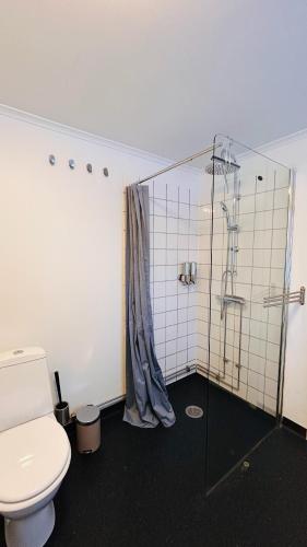 a bathroom with a toilet and a glass shower at Wildlandia Älg Ferienhaus in Hagfors