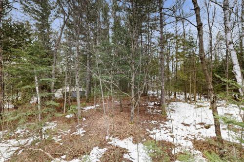 a forest of trees with snow on the ground at Harbor Cove #9 in Harbor Springs