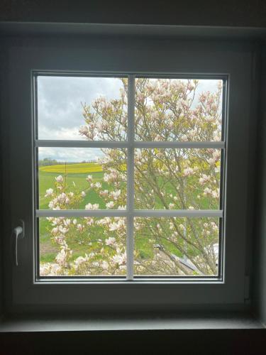 a window with a view of a flowering tree at Stallet in Ystad