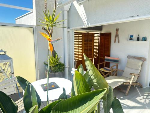 un patio avec de nombreuses plantes vertes et un bâtiment dans l'établissement 3Très Beau logement, idéalement situé , Plages, Port & Vélo à Disp, à La Baule