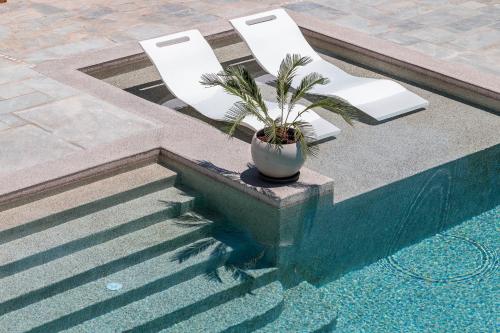 a potted plant sitting on a ledge next to a pool at Terpsis Origin Villa in Stafylos