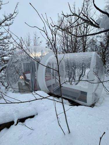 a glass house in the snow with a tree at Eyja Mork - Stargazing Igloo with shared Hot Tub, BBQ and kitchen - B3 in Stora Mork