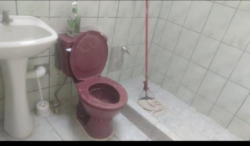a bathroom with a pink toilet and a sink at Playa sol y arena in Puntarenas