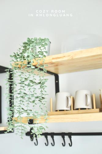 a shelf with a potted plant on it at Cozy room in Khlongluang - Self Check-in in Khlong Luang
