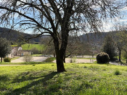 a tree in the middle of a field at CONFORTABLE MAISON DANS VILLAGE VACANCES AVEC PISCINE A CAJARC in Cajarc