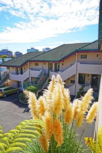 a building with a bunch of plants in front of it at Ashwood Manor Motor Lodge in Hamilton