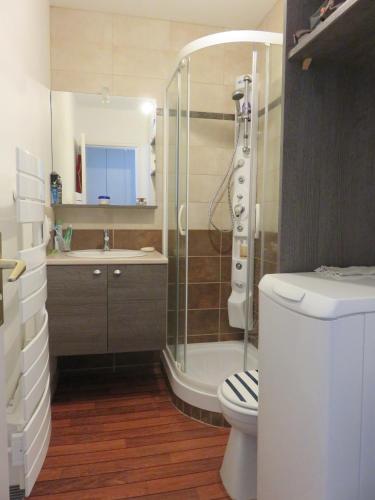 une salle de bain avec une douche, des toilettes et un lavabo dans l'établissement Studio 2 pers à 200 m de la grande plage, à Saint-Cast-le-Guildo