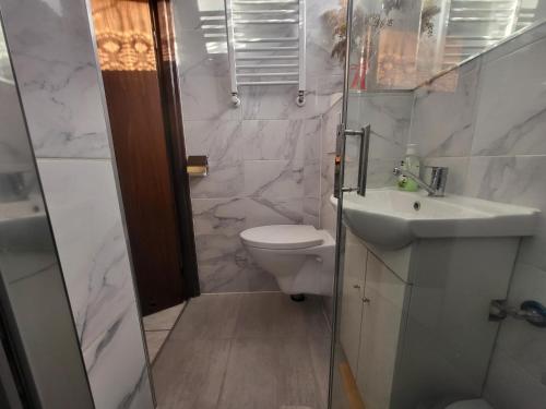 a bathroom with a toilet and a sink and a shower at Błękit Bałtyku in Łazy