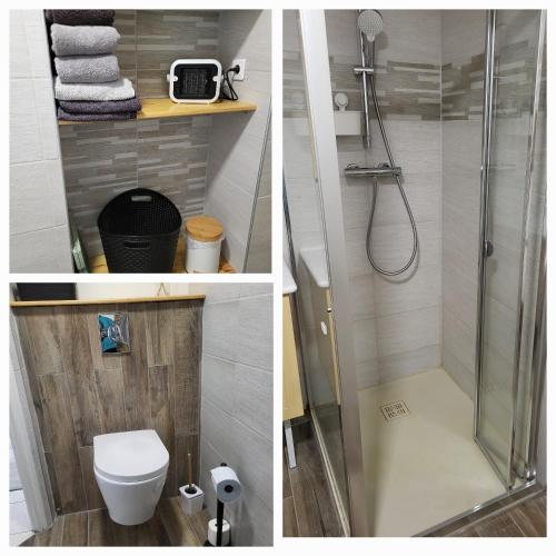 - deux photos d'une salle de bains avec douche et toilettes dans l'établissement Petite Maison 3 chambres Lamballe-Armor, à Lamballe Armor