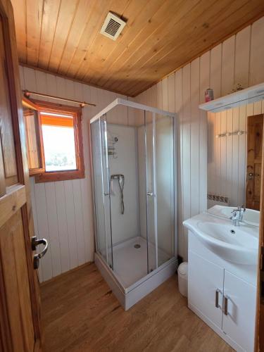 Bilik mandi di Chalet magnifique vue lac & piscine
