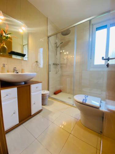 a bathroom with a shower and a toilet and a sink at Apartamento Oronoz in Oronoz-Mugaire