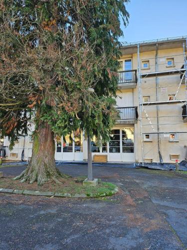 un arbre dans un parking en face d'un bâtiment dans l'établissement Kiki, à La Bourboule