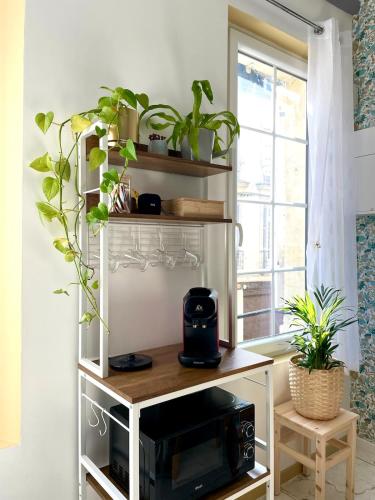 une étagère avec des plantes à côté d'une fenêtre dans l'établissement Douceur Tourangelle - Entre Loire et centre ville, à Tours