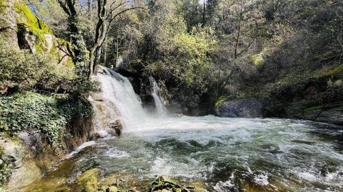 Φυσικό τοπίο κοντά σε αυτή η παραθεριστική κατοικία