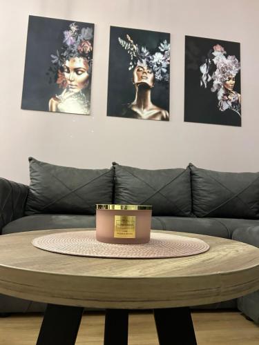 a table in front of a couch with pictures on the wall at Apartmani BOŽIČKOVIĆ in Palić