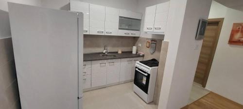 Кухня або міні-кухня у Double BO Apartment