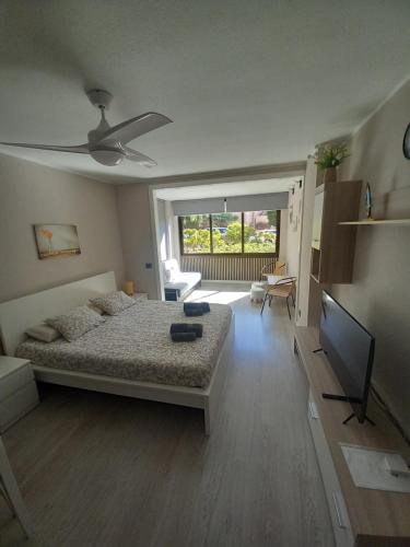 Castle Harbour Studio Apartment 460