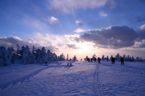 a group of people walking in a snow covered field at Okushiga Kogen Hotel in Yamanouchi