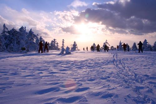 a group of people walking in the snow at Okushiga Kogen Hotel in Yamanouchi