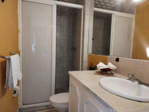 ein Badezimmer mit Waschbecken, Toilette und Spiegel in der Unterkunft Suite Reforma Ahuehuete in Mexiko-Stadt