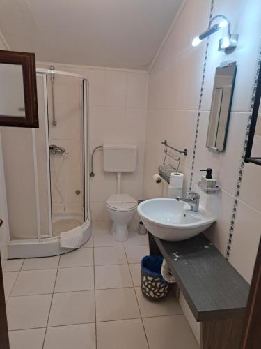 a bathroom with a shower and a sink and a toilet at Salaš Đorđević in Subotica
