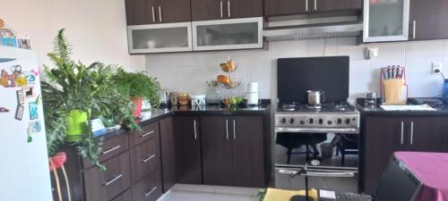 een keuken met bruine kasten en een kookplaat oven bij Habitaciones en alquiler centro de Tarija in Tarija