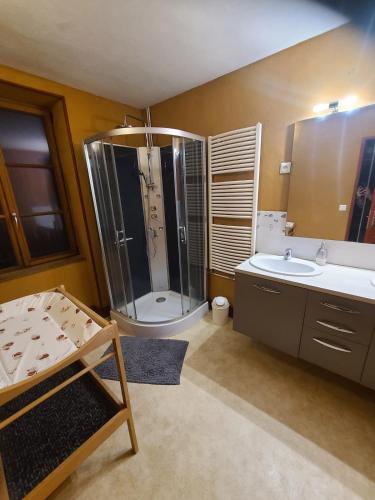 une salle de bain avec douche et lavabo dans l'établissement Chez nina, à Saint-Éloi