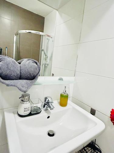 Luxury and cozy apartment Vinohrady Prague