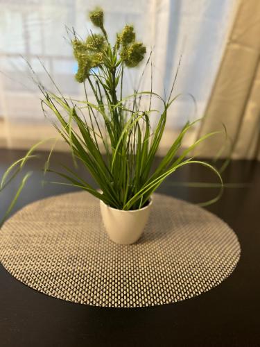Gambar di galeri bagi M&BLuxux Apartments di Krefeld