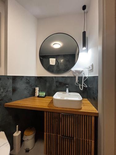 a bathroom with a sink and a mirror at PROVENIR HOME KWIATOWA 5 in Poznań
