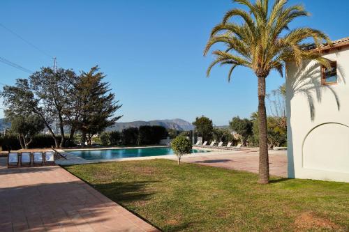 a palm tree next to a swimming pool at Hotel Finca Olivar in Benissa